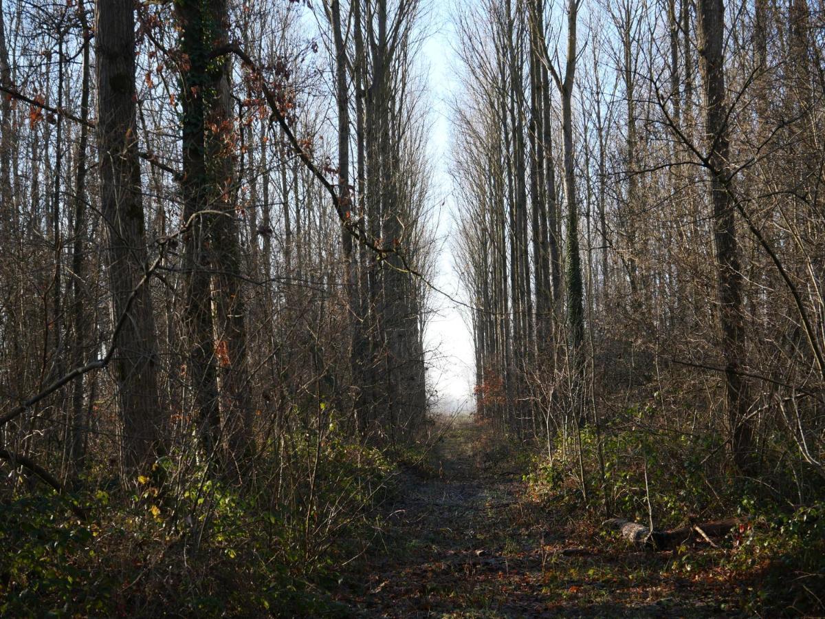 La Cabane Du Chasseur Flines-Les-Mortagne Экстерьер фото